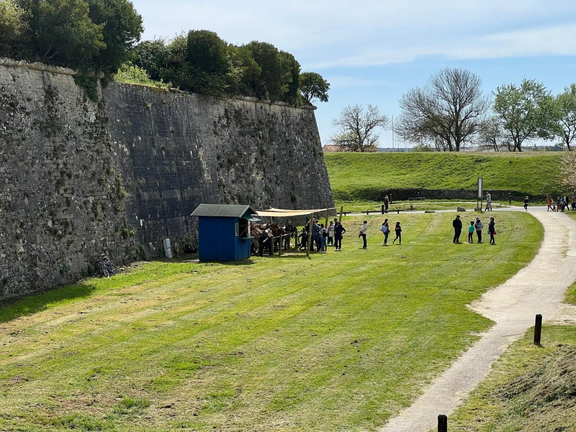 Les Amareyeurs - Ile D'Oleron - Maison Classee 3 Etoiles Avec Piscine - Clim - Velos Le Chateau-d'Oleron Exterior foto